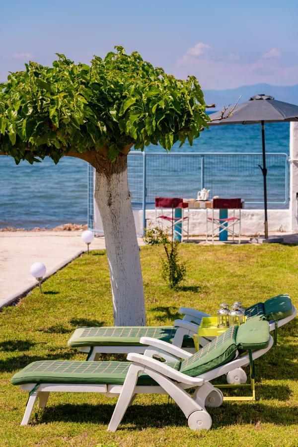 Kiko, The Coastline House Villa Káto Achaḯa Ngoại thất bức ảnh